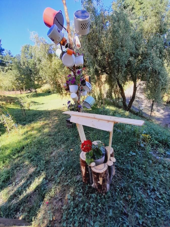 Berbesti Casa De La Ferma Mariucaヴィラ エクステリア 写真