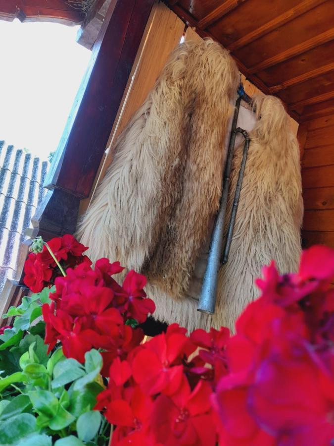 Berbesti Casa De La Ferma Mariucaヴィラ エクステリア 写真