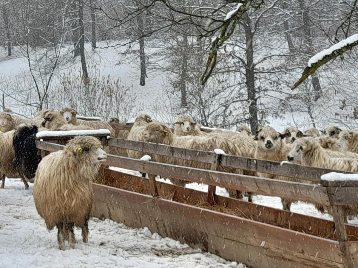Berbesti Casa De La Ferma Mariucaヴィラ エクステリア 写真